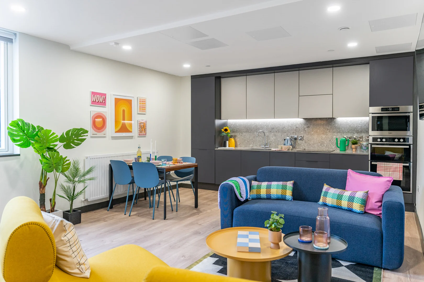 A bright student apartment living room and kitchen, with a yellow armchair, a blue sofa and a dining table.